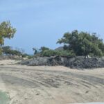 Medio Ambiente Detiene Vertido de Desechos en Manglares de Montecristi
