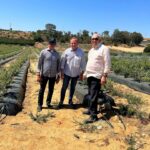 Comisión de BANGRICOLA, liderada por Fernando Duran, en Huelva, España, la cuna de los berries en Europa