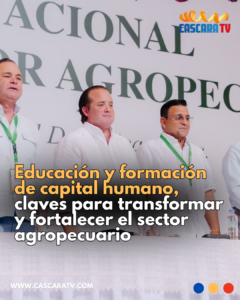 Copia de Copia de Copia de Copia de NOTICIAS CASCARA TV_20260904_100901_0000