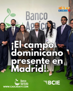 Copia de Copia de NOTICIAS CASCARA TV_20261006_135719_0000